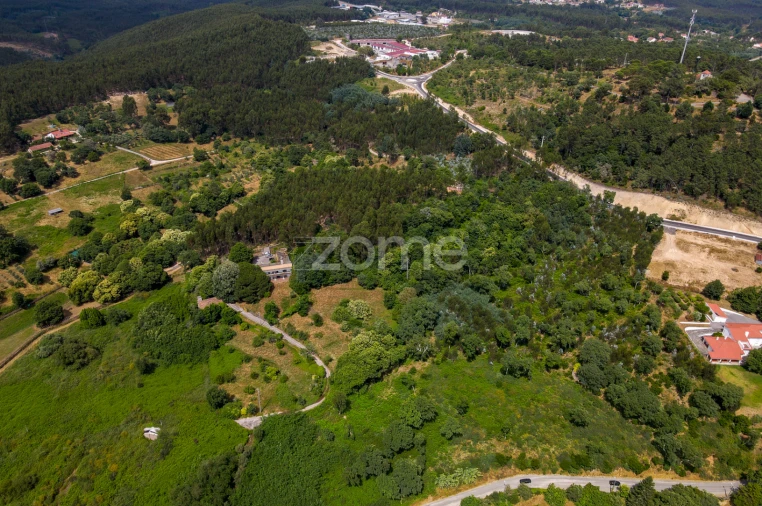 Quinta T7 para Venda em Figueiró dos Vinhos e Bairradas Foto 55