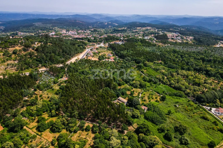 Quinta T7 para Venda em Figueiró dos Vinhos e Bairradas Foto 52
