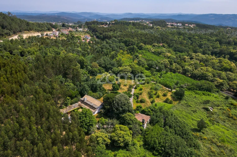 Quinta T7 para Venda em Figueiró dos Vinhos e Bairradas Foto 51
