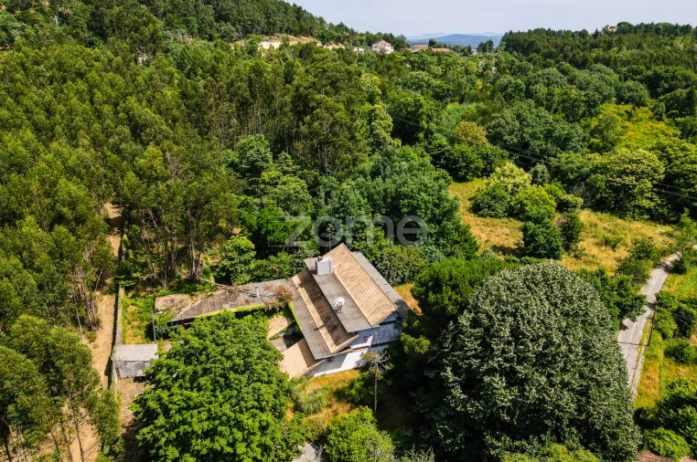 Quinta T7 para Venda em Figueiró dos Vinhos e Bairradas Foto 47