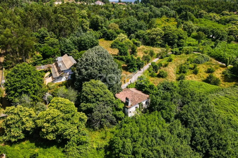 Quinta T7 para Venda em Figueiró dos Vinhos e Bairradas Foto 48