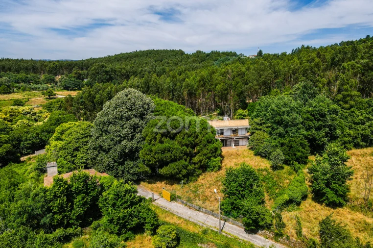 Quinta T7 para Venda em Figueiró dos Vinhos e Bairradas Foto 49