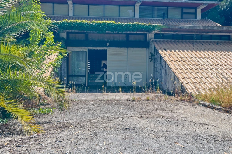 Quinta T7 para Venda em Figueiró dos Vinhos e Bairradas Foto 5