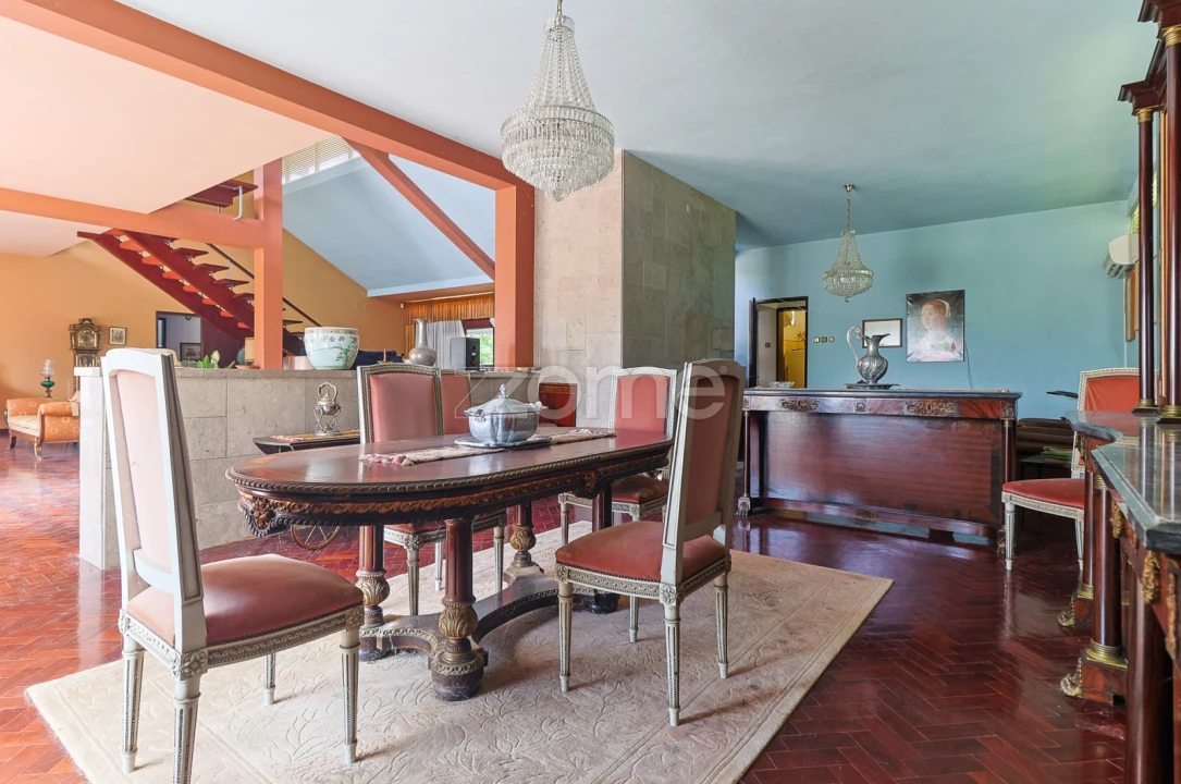 Quinta T7 para Venda em Figueiró dos Vinhos e Bairradas Foto 22