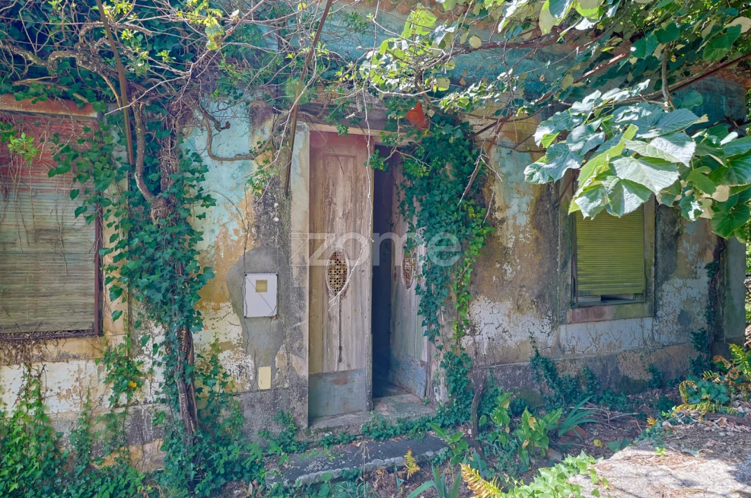 Quinta T7 para Venda em Figueiró dos Vinhos e Bairradas Foto 10