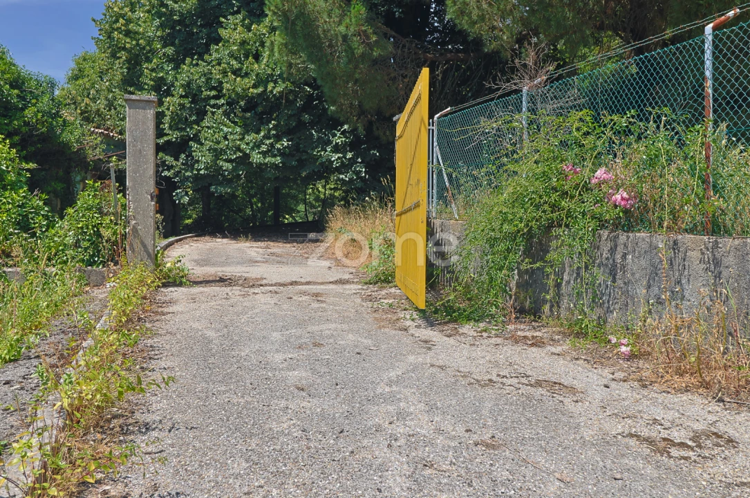 Quinta T7 para Venda em Figueiró dos Vinhos e Bairradas Foto 8