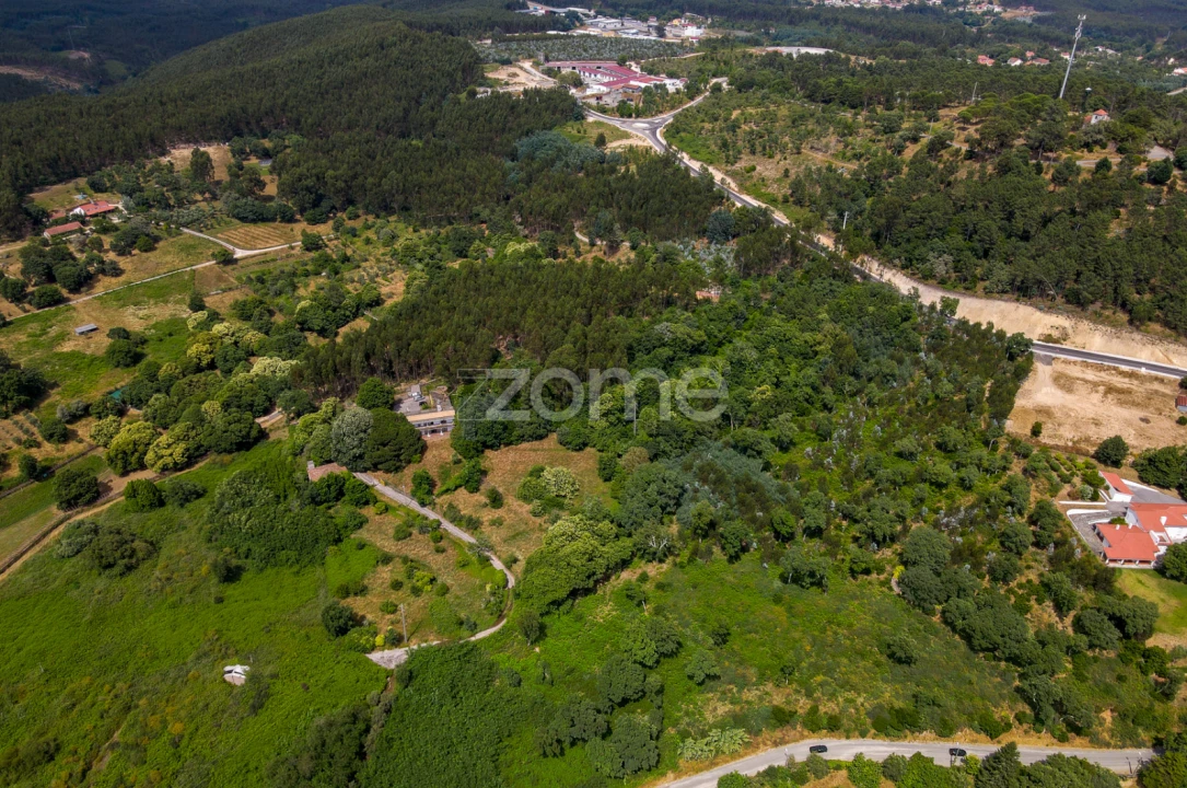 Quinta T7 para Venda em Figueiró dos Vinhos e Bairradas Foto 55