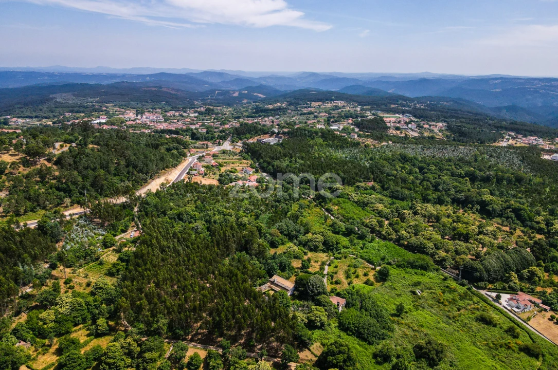 Quinta T7 para Venda em Figueiró dos Vinhos e Bairradas Foto 53