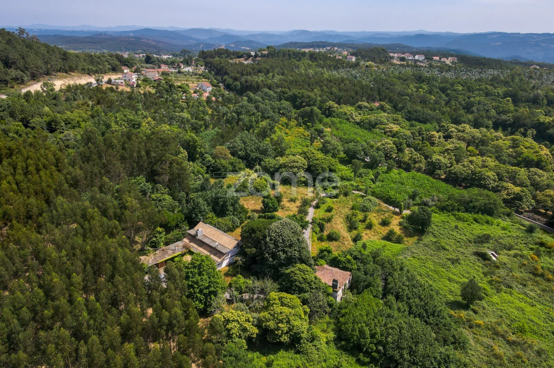 Quinta T7 para Venda em Figueiró dos Vinhos e Bairradas Foto 51