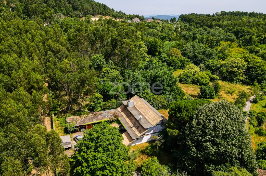 Quinta T7 para Venda em Figueiró dos Vinhos e Bairradas Foto 46