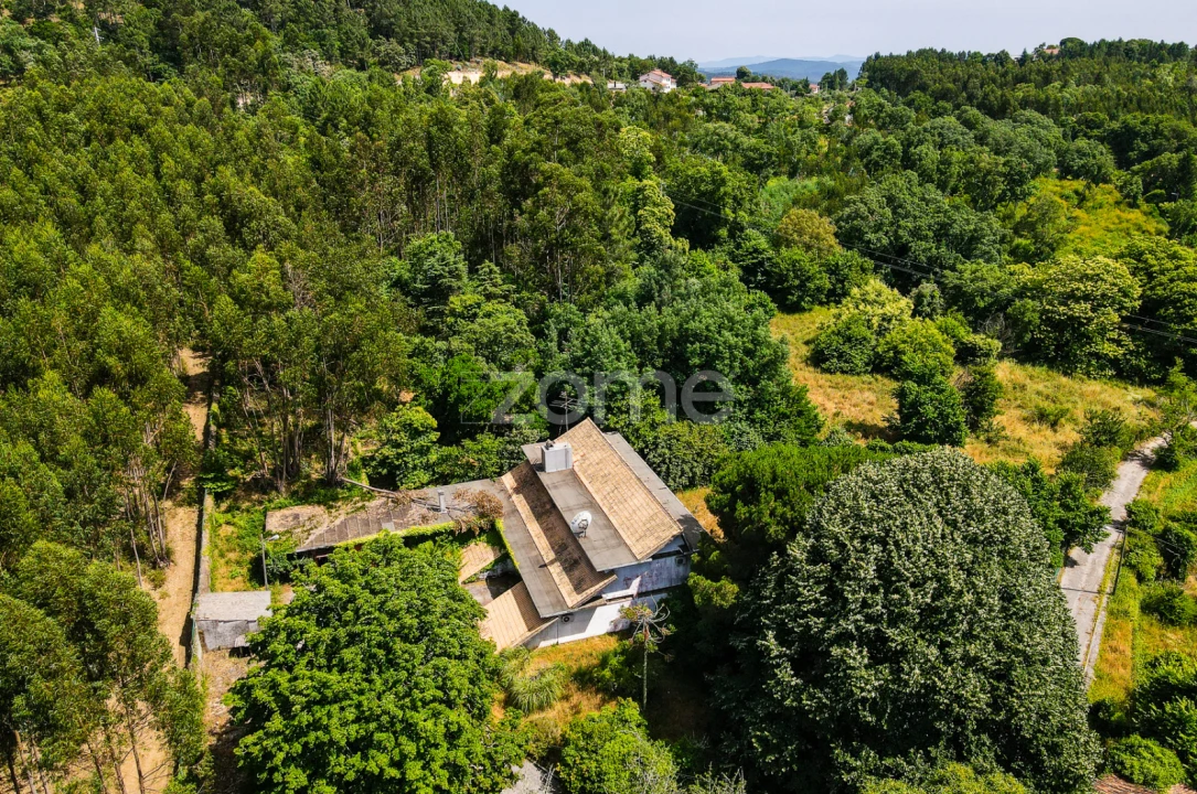 Quinta T7 para Venda em Figueiró dos Vinhos e Bairradas Foto 47