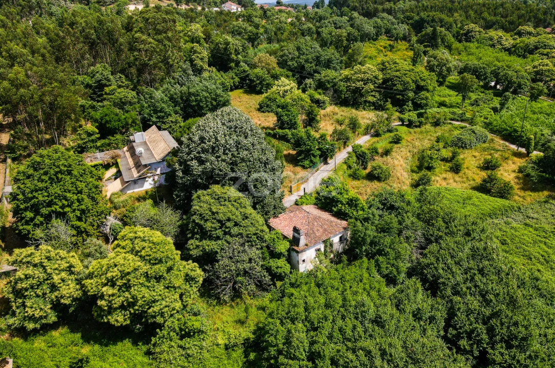 Quinta T7 para Venda em Figueiró dos Vinhos e Bairradas Foto 48