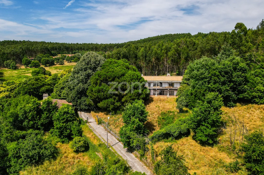 Quinta T7 para Venda em Figueiró dos Vinhos e Bairradas Foto 50