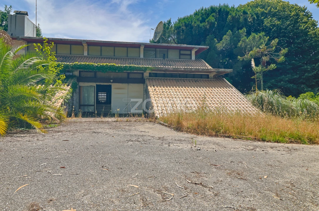 Quinta T7 para Venda em Figueiró dos Vinhos e Bairradas Foto 4