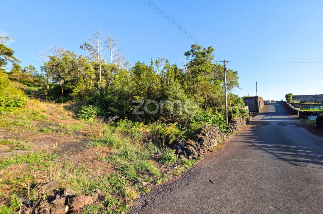 Terreno para Venda em Criação Velha Foto 4