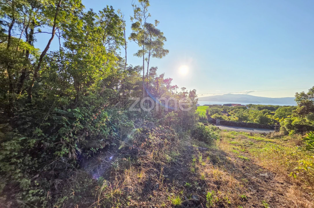 Terreno para Venda em Criação Velha Foto 16
