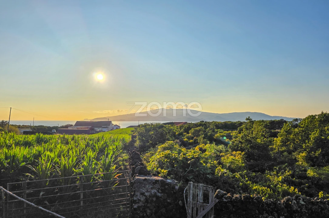 Terreno para Venda em Criação Velha Foto 19