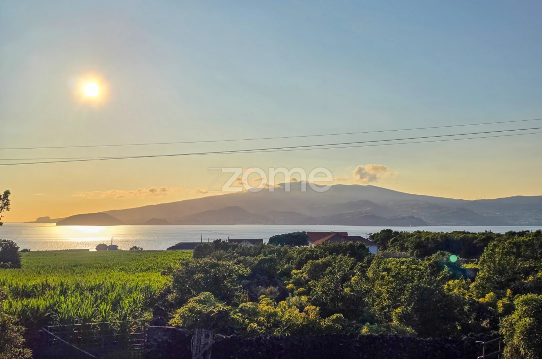 Terreno para Venda em Criação Velha Foto 20