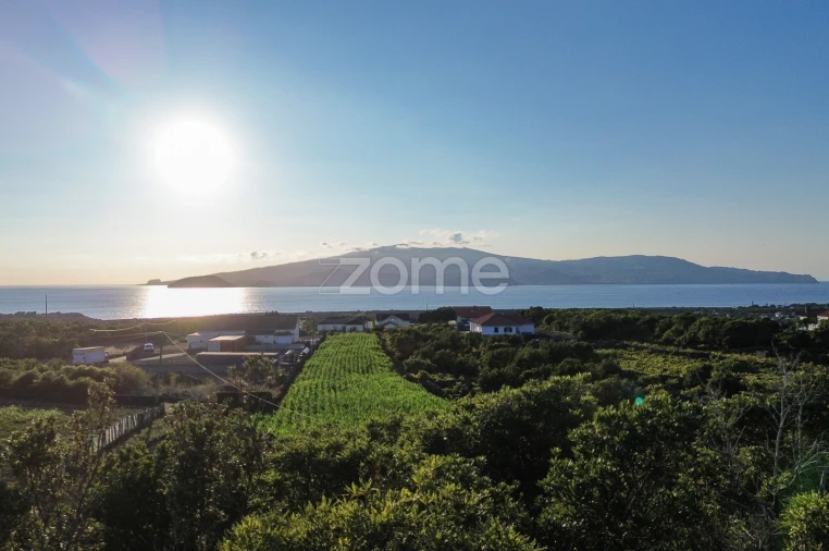 Terreno para Venda em Criação Velha Foto 3