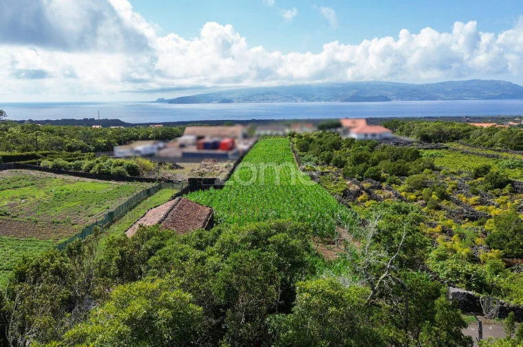 Terreno para Venda em Criação Velha Foto 12