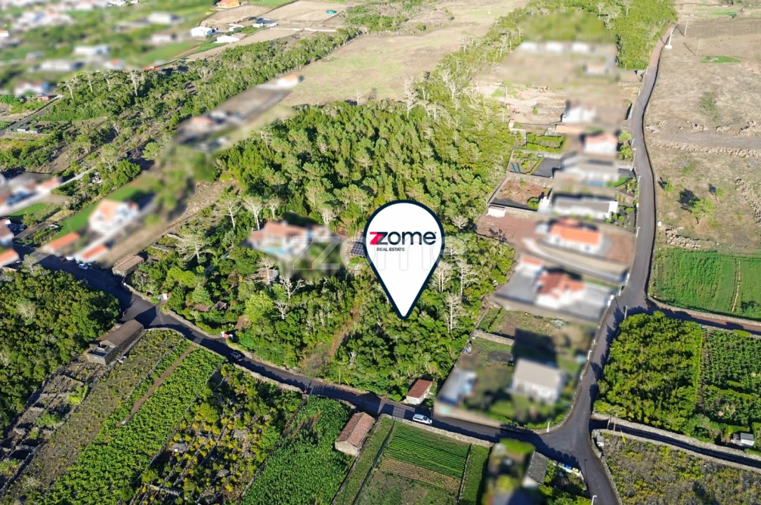 Terreno para Venda em Criação Velha Foto 3