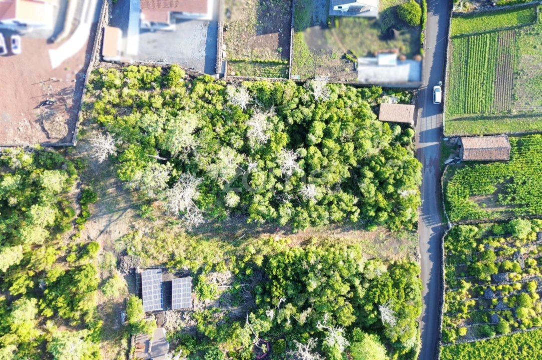 Terreno para Venda em Criação Velha Foto 7