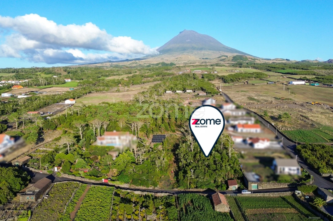 Terreno para Venda em Criação Velha Foto 1