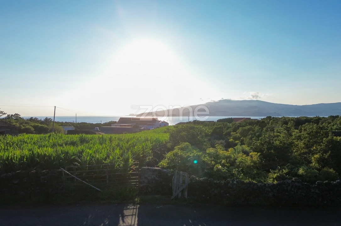 Terreno para Venda em Criação Velha Foto 10