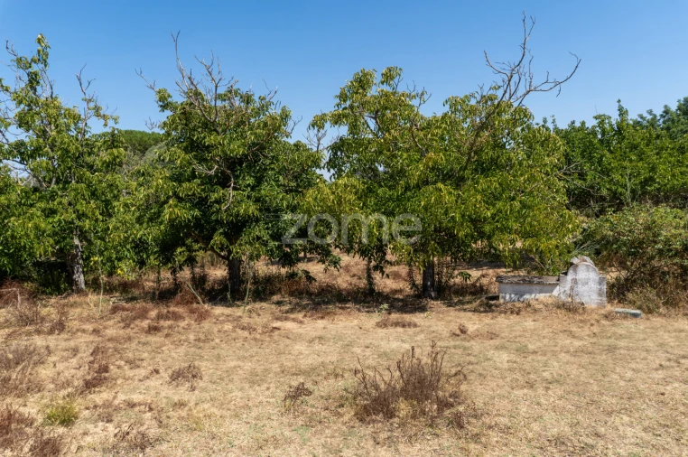 Quinta T2 para Venda em Nossa Senhora da Vila, Nossa Senhora do Bispo e Silveiras Foto 23