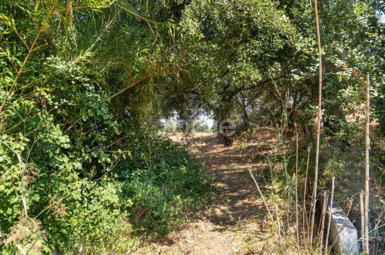 Quinta T2 para Venda em Nossa Senhora da Vila, Nossa Senhora do Bispo e Silveiras Foto 28