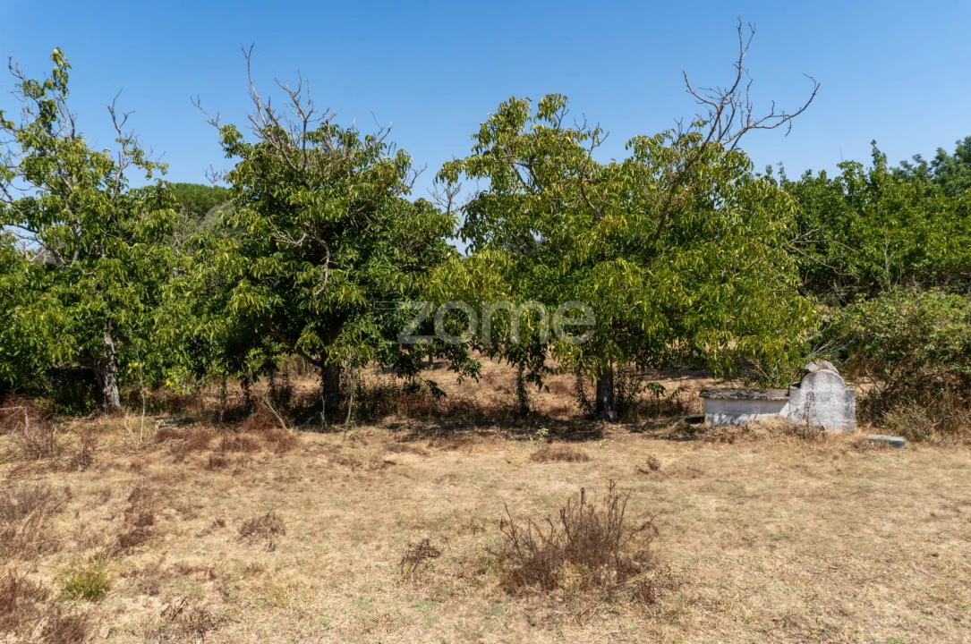 Quinta T2 para Venda em Nossa Senhora da Vila, Nossa Senhora do Bispo e Silveiras Foto 23