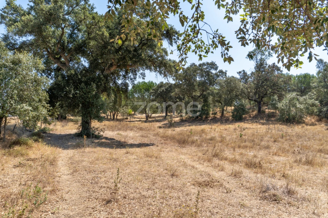 Quinta T2 para Venda em Nossa Senhora da Vila, Nossa Senhora do Bispo e Silveiras Foto 34