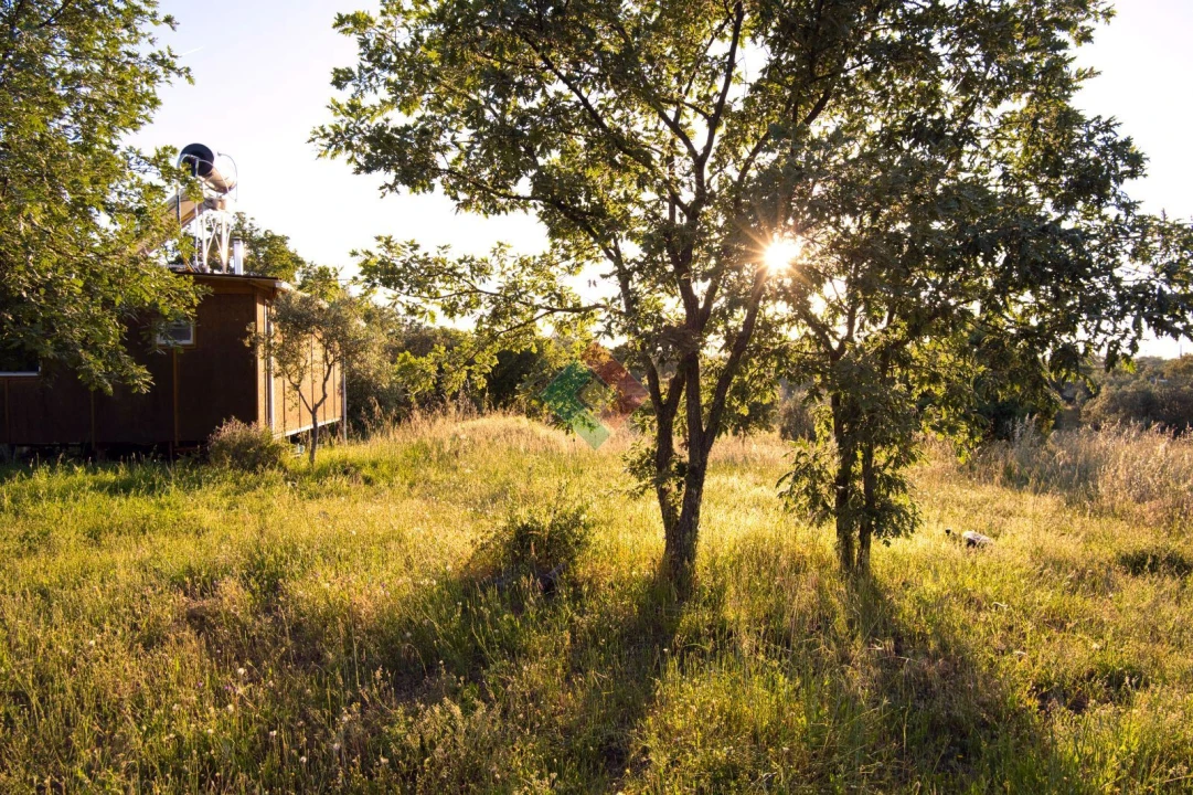 Quinta T1 para Venda em Santa Maria da Devesa Foto 3
