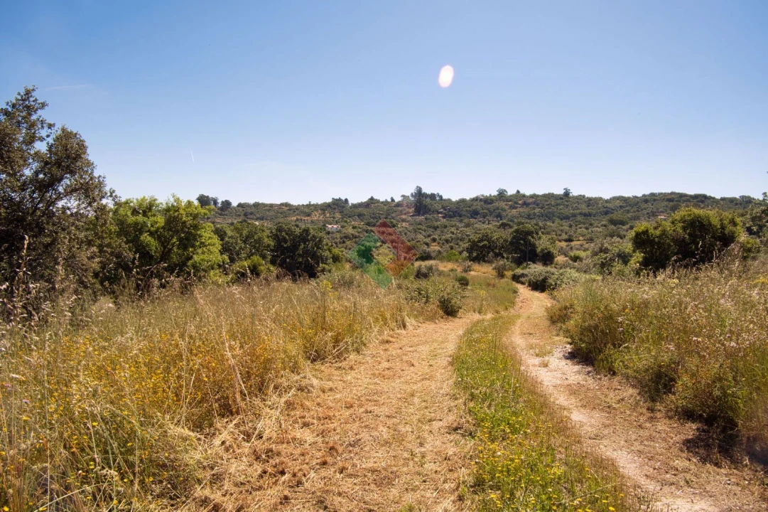 Quinta T1 para Venda em Santa Maria da Devesa Foto 13