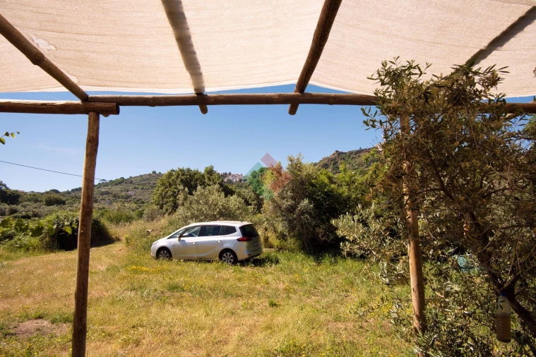 Quinta T1 para Venda em Santa Maria da Devesa Foto 6