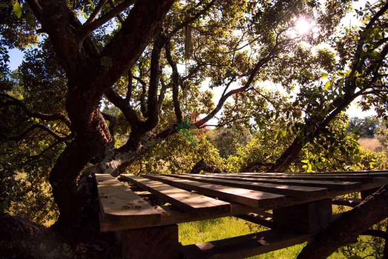 Quinta T1 para Venda em Santa Maria da Devesa Foto 11