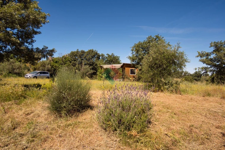 Quinta T1 para Venda em Santa Maria da Devesa Foto 12