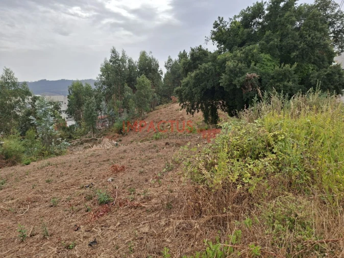 Terreno para Venda em Campo e Sobrado Foto 8