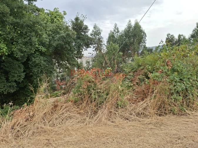 Terreno para Venda em Campo e Sobrado Foto 9