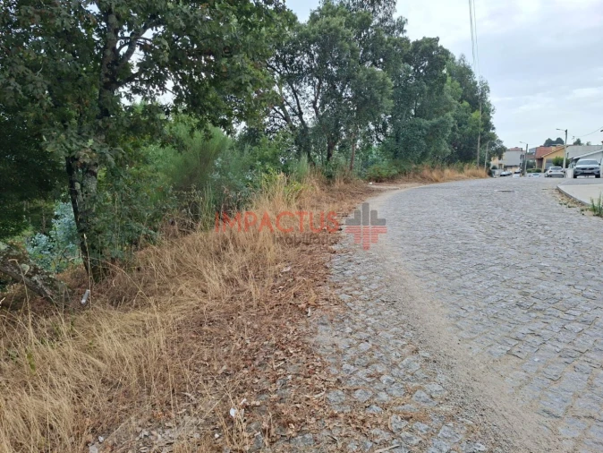 Terreno para Venda em Campo e Sobrado Foto 6