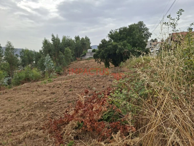Terreno para Venda em Campo e Sobrado Foto 10
