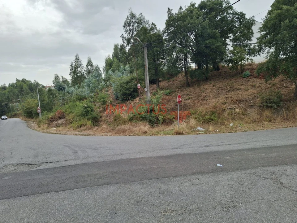 Terreno para Venda em Campo e Sobrado Foto 4