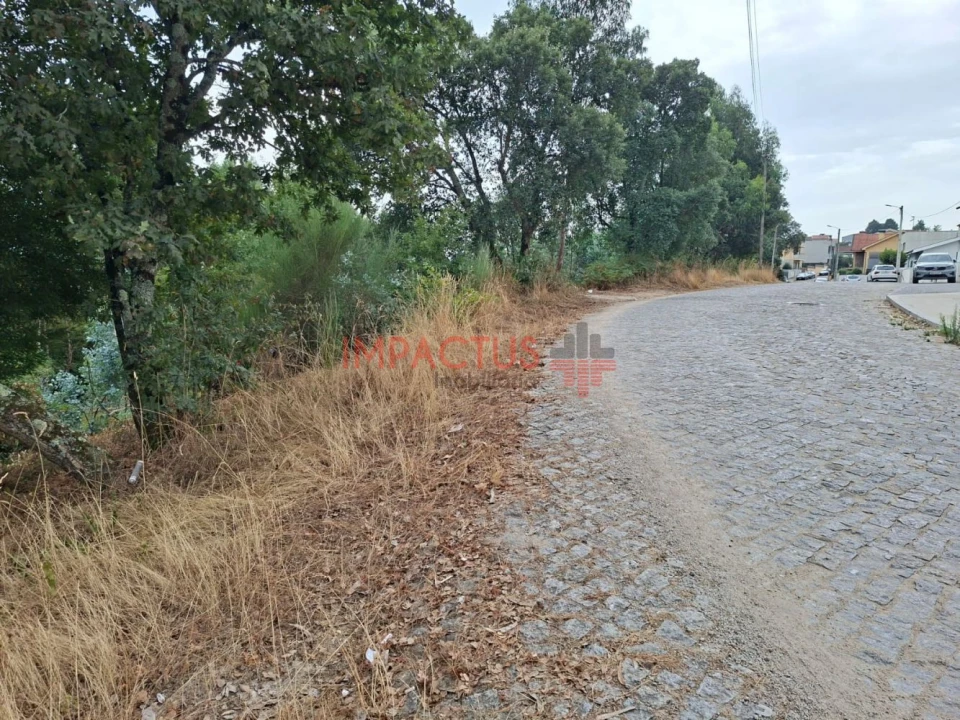 Terreno para Venda em Campo e Sobrado Foto 6