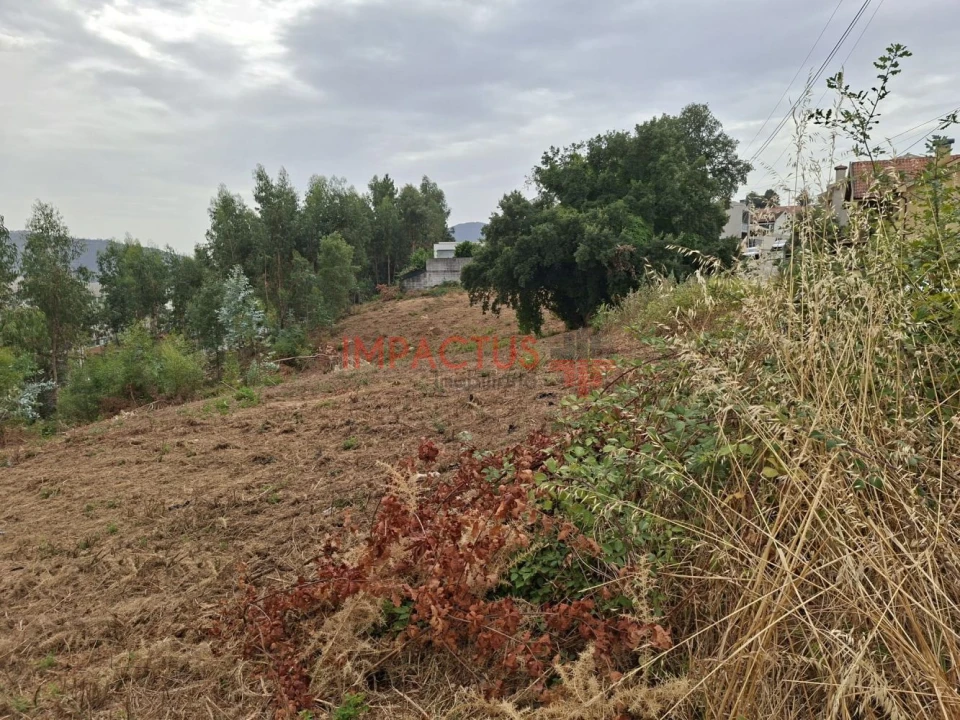 Terreno para Venda em Campo e Sobrado Foto 10