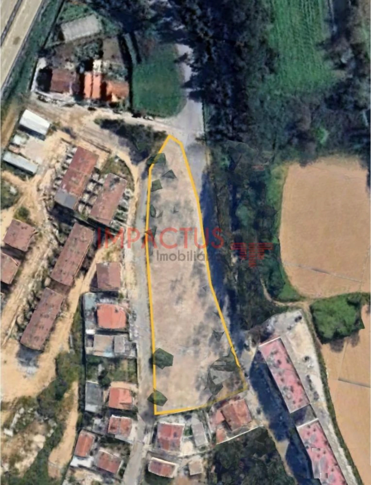 Terreno para Venda em Campo e Sobrado Foto 2