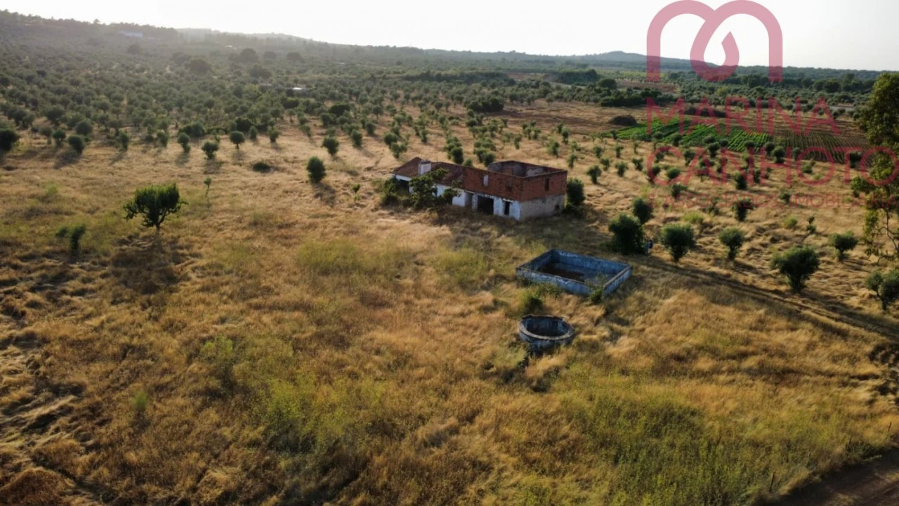 Quinta T3 para Venda em Borba (Matriz) Foto 9