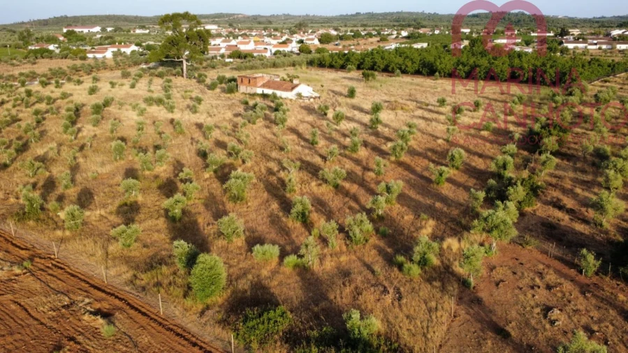 Quinta T3 para Venda em Borba (Matriz) Foto 5