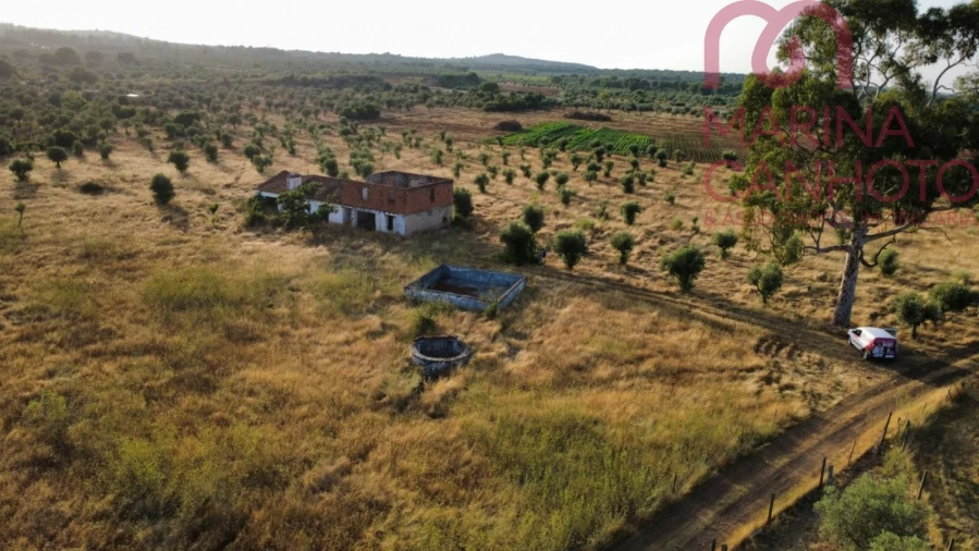 Quinta T3 para Venda em Borba (Matriz) Foto 8