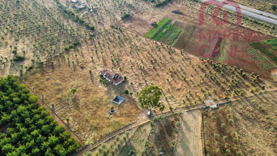 Quinta T3 para Venda em Borba (Matriz) Foto 3