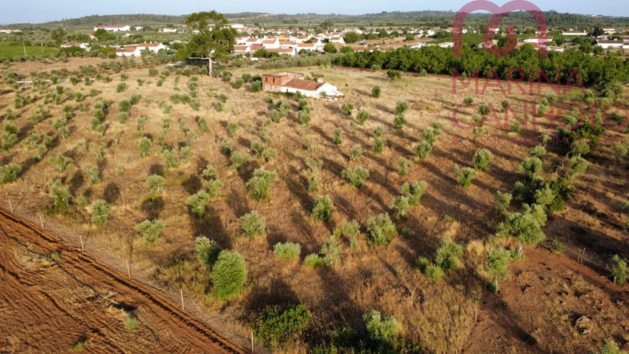 Quinta T3 para Venda em Borba (Matriz) Foto 4